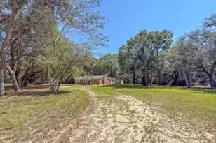 5703 Old River Rd, Baker, FL 32531 - Photo 10