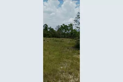 0000 Veterans, Freeport, FL 32439 - Photo 2