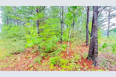 00 E Primrose Avenue, Defuniak Springs, FL 32433 - Photo 10