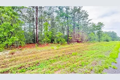 00 E Primrose Avenue, Defuniak Springs, FL 32433 - Photo 6