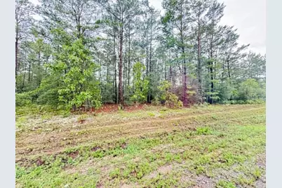 00 E Primrose East Avenue, Defuniak Springs, FL 32433 - Photo 4