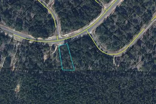 Lot 14 Shenandoah Blvd, Chipley, FL 32428 - Photo 1