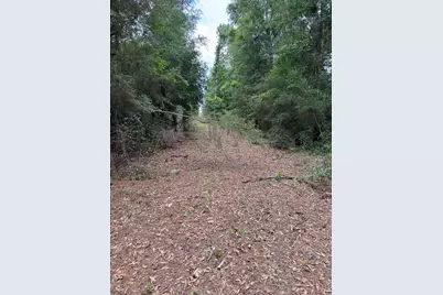 115 Clarks Landing Road, Defuniak Springs, FL 32433 - Photo 14