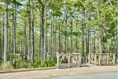 Lot 102-40 Cypress Walk, Santa Rosa Beach, FL 32459 - Photo 14