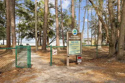151 Southern Pines Road #Lot 10, Santa Rosa Beach, FL 32459 - Photo 32