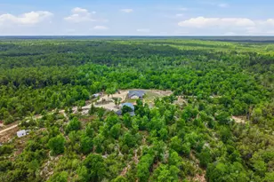 5450 Hwy 393, Crestview, FL 32539 - Photo 8