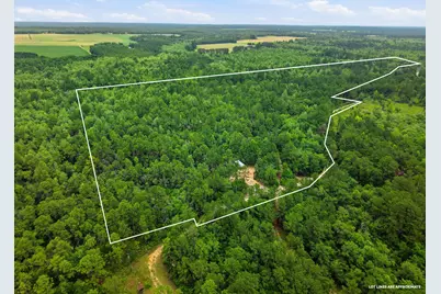 5450 Highway 393, Crestview, FL 32539 - Photo 46