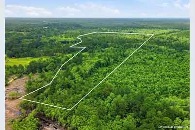 5450 Highway 393, Crestview, FL 32539 - Photo 50