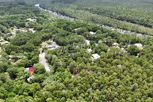 38 Creekside Waterview Pl, Freeport, FL 32439 - Photo 46