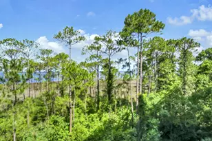 9700 Grand Sandestin Blvd, Miramar Beach, FL 32550 - Photo 44