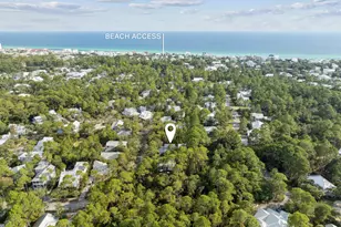 298 Cullman Ave, Santa Rosa Beach, FL 32459 - Photo 4