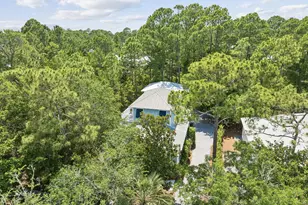 298 Cullman Ave, Santa Rosa Beach, FL 32459 - Photo 62