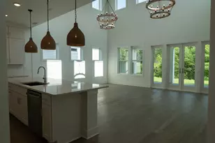 21 Anastasia Cir, Inlet Beach, FL 32461 - Photo 2