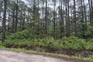 Lot 1 2 3 12 Th St, Santa Rosa Beach, FL 32459 - Photo 1