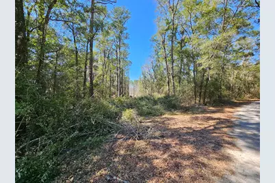 830 Four Mile Road, Freeport, FL 32439 - Photo 6