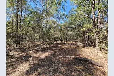 830 Four Mile Road, Freeport, FL 32439 - Photo 8