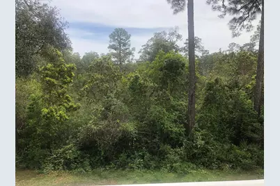 231 Gracie Lane, Niceville, FL 32578 - Photo 6
