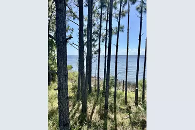 1021 Pearson Road, Milton, FL 32570 - Photo 4