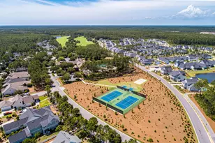 31 Rosecourt St, Inlet Beach, FL 32461 - Photo 52
