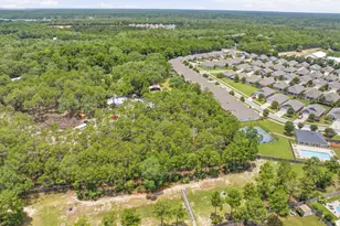 451 Lightning Bug Ln, Freeport, FL 32439 - Photo 40