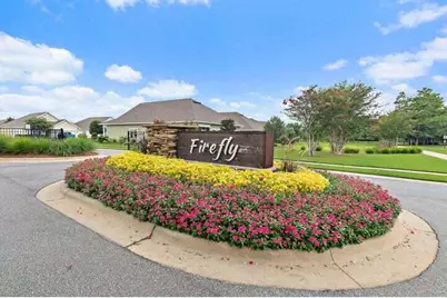 451 Lightning Bug Lane, Freeport, FL 32439 - Photo 2