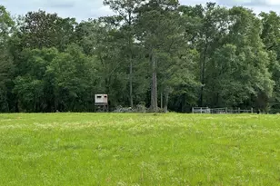Parcel H County Road 20 / New Ebenezer Rd, Florala, AL 36442 - Photo 12