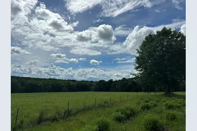 Parcel H County Road 20 / New Ebenezer Road, Florala, AL 36442 - Photo 14