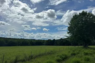 Parcel H County Road 20 / New Ebenezer Rd, Florala, AL 36442 - Photo 14