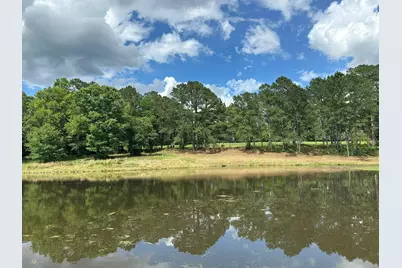 Parcel H County Road 20 / New Ebenezer Road, Florala, AL 36442 - Photo 42