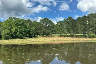 Parcel H County Road 20 / New Ebenezer Rd, Florala, AL 36442 - Photo 42
