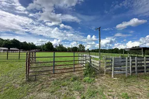 Parcel H County Road 20 / New Ebenezer Rd, Florala, AL 36442 - Photo 24