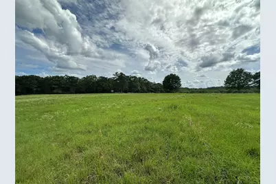 Parcel H County Road 20 / New Ebenezer Road, Florala, AL 36442 - Photo 10
