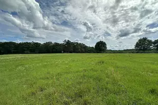 Parcel H County Road 20 / New Ebenezer Rd, Florala, AL 36442 - Photo 10