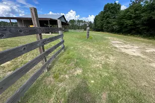 Parcel H County Road 20 / New Ebenezer Rd, Florala, AL 36442 - Photo 20
