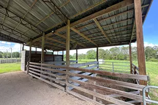 Parcel H County Road 20 / New Ebenezer Rd, Florala, AL 36442 - Photo 22