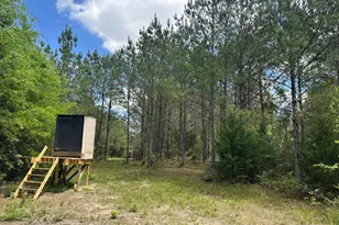 Parcel H County Road 20 / New Ebenezer Rd, Florala, AL 36442 - Photo 30