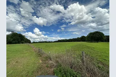 Parcel H County Road 20 / New Ebenezer Road, Florala, AL 36442 - Photo 8