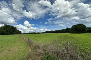 Parcel H County Road 20 / New Ebenezer Rd, Florala, AL 36442 - Photo 8