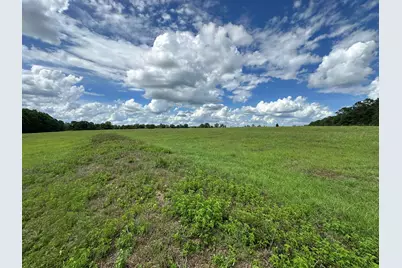 Parcel H County Road 20 / New Ebenezer Road, Florala, AL 36442 - Photo 6