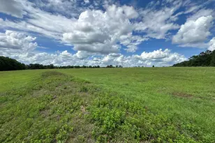 Parcel H County Road 20 / New Ebenezer Rd, Florala, AL 36442 - Photo 6