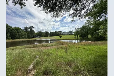 Parcel H County Road 20 / New Ebenezer Road, Florala, AL 36442 - Photo 4