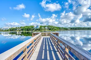 64 Cove Creek Ln, Inlet Beach, FL 32461 - Photo 44