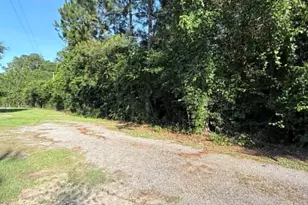 54 Cannon Dr, Paxton, FL 32538 - Photo 6