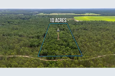 5126 Bone Creek Road, Holt, FL 32564 - Photo 8