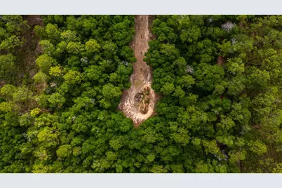 5126 Bone Creek Road, Holt, FL 32564 - Photo 10