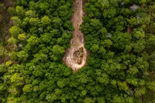 5126 Bone Creek Rd, Holt, FL 32564 - Photo 10