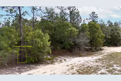 0 Homestead Road, Baker, FL 32531 - Photo 6