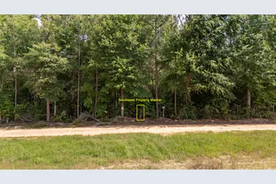0 Homestead Road, Baker, FL 32531 - Photo 20