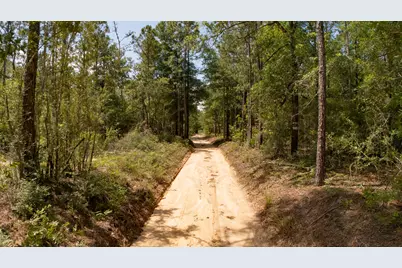 0 Homestead Road, Baker, FL 32531 - Photo 24