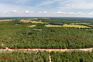 0 Homestead Rd, Baker, FL 32531 - Photo 1